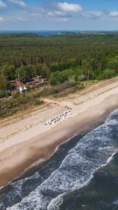 an overhead view of a beach with a group of chairs at Albatros - a17722 in Ueckeritz