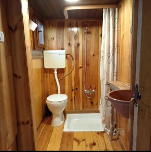 a bathroom with a toilet and a sink at Log cabin in Belgrade
