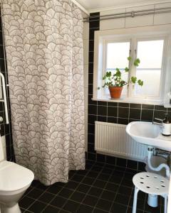 a bathroom with a shower curtain and a sink at Vadstena Vandrarhem-Hostel in Vadstena