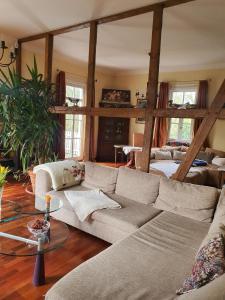 ein Wohnzimmer mit einem Sofa und einem Tisch in der Unterkunft Großes Ferienhaus in Steckenstein mit Großem Garten in Mittelhof