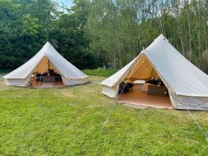 due tende in un campo con alberi sullo sfondo di Cherry Bell Tent a Droitwich