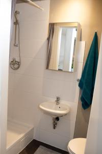 een badkamer met een wastafel, een toilet en een spiegel bij Gemütliches Studio mit Hochbett im Herzen von Graz in Graz