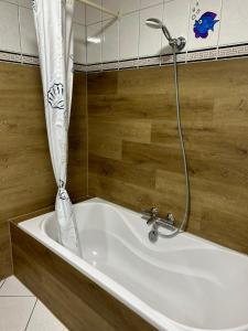 uma banheira na casa de banho com um chuveiro em Ferienhaus Nannen em Rechtsupweg