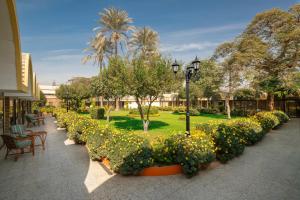 un jardín con flores amarillas y luz de la calle en Pyramids Resort by Jaz en El Cairo