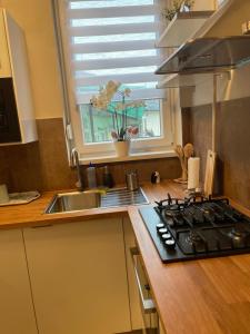 Kuchyňa alebo kuchynka v ubytovaní Syl Via Apartman