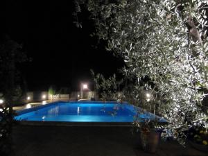 una piscina por la noche con un árbol en Ferienwohnung für 3 Personen ca 32 qm in Poggio Alla Cavalla, Toskana Provinz Pistoia, en Lamporecchio