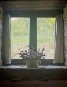 een raam met een potplant op een vensterbank bij Ferienwohnung für 4 Personen ca 50 qm in Carucedo, Kastilien-Leon Provinz Len in Carucedo