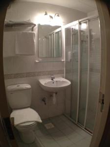 a bathroom with a toilet and a sink and a shower at Perak Hotel in Singapore