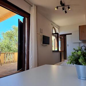 Zimmer mit einem Fenster und einem Tisch mit einer Pflanze in der Unterkunft Studio apartment with sea view in Sali