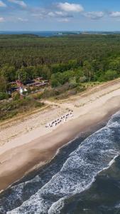 una vista aérea de una playa con un grupo de sillas en Kormoran - a59405 en Ueckeritz