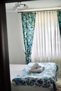 a bedroom with a bed with a curtain and a window at Agropa Garden in Bistriţa