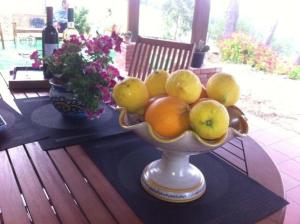 - un bol de fruits assis sur une table dans l'établissement Ferienhaus für 5 Personen ca 80 qm in Scopello, Sizilien Nordküste von Sizilien, à Scopello
