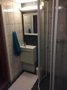 Koupelna v ubytování Fredvang Farm House, Lofoten
