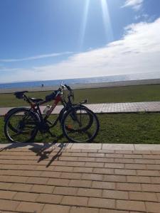 una bicicleta estacionada en el césped cerca de una playa en Apartamentos Roquetas Beach, en Roquetas de Mar