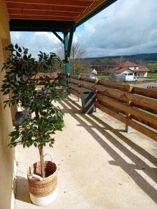 a tree in a basket next to a fence at Le gîte de la Racine "La Verte Vallée" in Raon-aux-Bois +2 photos