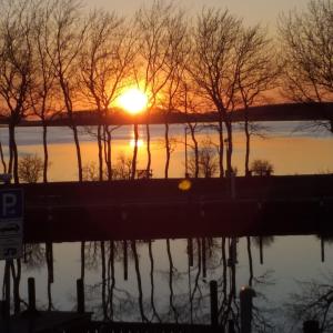 einen Sonnenuntergang über einem Wasserkörper mit Bäumen in der Unterkunft Hafenglück - b63580 in Fehmarn