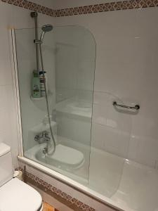 a bathroom with a shower and a toilet at Villa America in Roche
