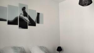 eine weiße Wand mit einem Bild einer Frau im Spiegel in der Unterkunft Appartement Pau in Pau