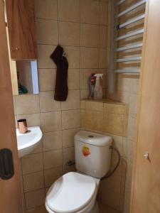 La petite salle de bains est pourvue de toilettes et d'un lavabo. dans l'établissement APARTMAN OLOMOUC 2KK, à Olomouc