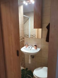 La salle de bains est pourvue d'un lavabo, de toilettes et d'un miroir. dans l'établissement APARTMAN OLOMOUC 2KK, à Olomouc
