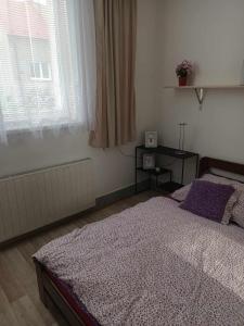 - une chambre avec un lit, une table et une fenêtre dans l'établissement APARTMAN OLOMOUC 2KK, à Olomouc