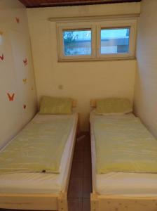 two beds in a small room with a window at Bungalow 5566 in Tossens in Butjadingen OT Tossens