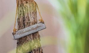 Galeriebild der Unterkunft Heimathafen in Ückeritz