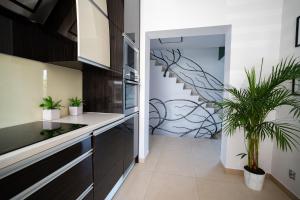 a kitchen with black cabinets and a plant at Villa Sinaloa-Spa in Ruda Śląska