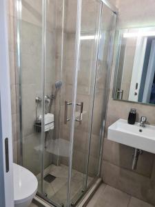 a bathroom with a shower and a toilet and a sink at Casa Limo in São Martinho do Porto