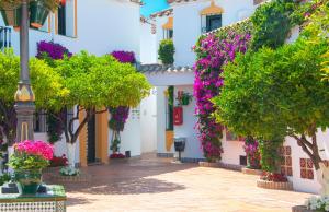 Zahrada ubytování Globales Pueblo Andaluz