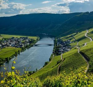 an aerial view of a river in a valley at Kleines Ferienhaus Nicole in Piesport