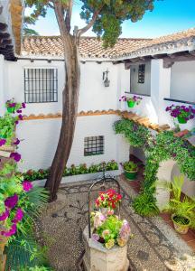 Zahrada ubytování Globales Pueblo Andaluz