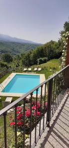 una piscina en un balcón con flores en Appartement in Rignano Sull'arno mit Schöner Terrasse, en Rignano sullʼArno