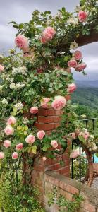un montón de rosas rosas creciendo en una pared de ladrillo en Appartement in Rignano Sull'arno mit Schöner Terrasse, en Rignano sullʼArno