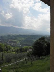 vistas a un valle con árboles y montañas en Appartement in Rignano Sull'arno mit Schöner Terrasse, en Rignano sullʼArno