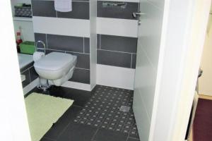 La salle de bains est pourvue d'une douche et de toilettes. dans l'établissement Wohnung in Trubenhausen mit Grill, Terrasse und Garten, à Trubenhausen