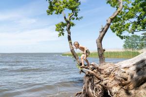 Eine Frau sitzt auf einem Baum auf dem Wasser in der Unterkunft Ferienhaus Am Hafen 11 Altwarp mit Sauna, Kamin und Wasserblick in Altwarp
