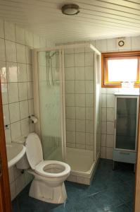 a bathroom with a toilet and a shower and a sink at Camping Boslust, Bungalow de Koekoek in Putten