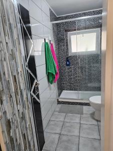 a bathroom with a shower and a toilet at SB Alojamento in Amora