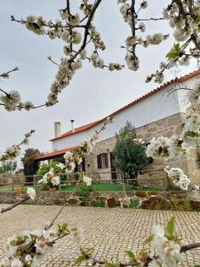 Κήπος έξω από το A Casa do Soito