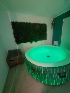 Una gran bañera verde en un baño con una planta en Villa 6p piscine spa privatif wifi proche des plages en Le Barcarès