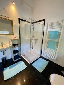 a bathroom with a shower and a sink at Sonniges, freistehendes Ferienhaus im Südschwarzwald für Dich ganz allein in Hasel