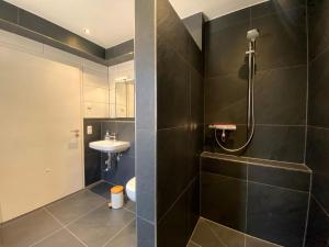 La salle de bains est pourvue d'une douche, de toilettes et d'un lavabo. dans l'établissement Ferienwohnung am Weiher - Wohnung 3 - Für 2 Personen, à Nideggen