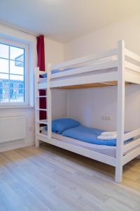 Rabenkirchen-FaulückにあるSchleiblick App 10のベッドルーム1室(二段ベッド2台、窓付)が備わります。