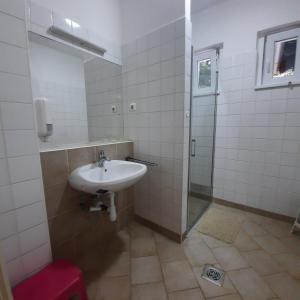 een badkamer met een wastafel en een douche bij Wohnung in Bükfürd mit Garten in Bükfürdő