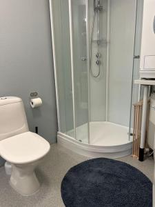 a bathroom with a shower and a toilet and a rug at Sentralt og romslig i Kristiansand sentrum in Kristiansand