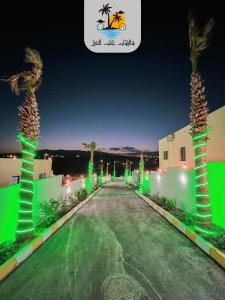une rue de nuit avec des palmiers et des lumières vertes dans l'établissement The palm heaven chalets, à Jerash