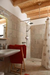 ein Bad mit einem Waschbecken und einer Dusche in der Unterkunft Kleines Ferienhaus in Umkirch - b57430 in Umkirch