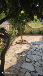 Zahrada ubytování Villa in Skafidia overlooking the Ionian Sea