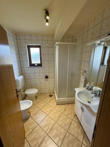 a bathroom with a toilet and a sink and a shower at Tribistovo Holiday House in Posušje